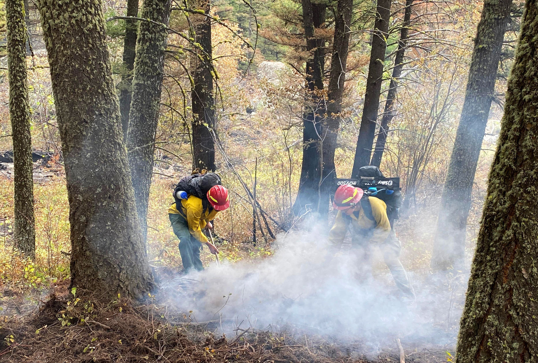 Bridger Foothills fire